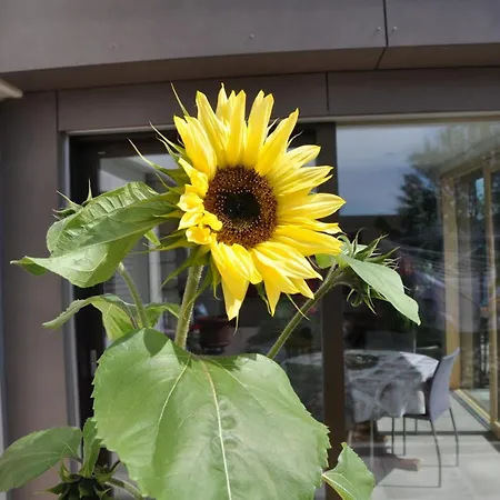 Apartamento La Ruche