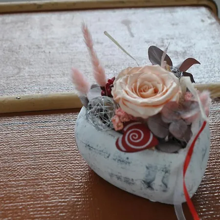 La Ruche Appartement *