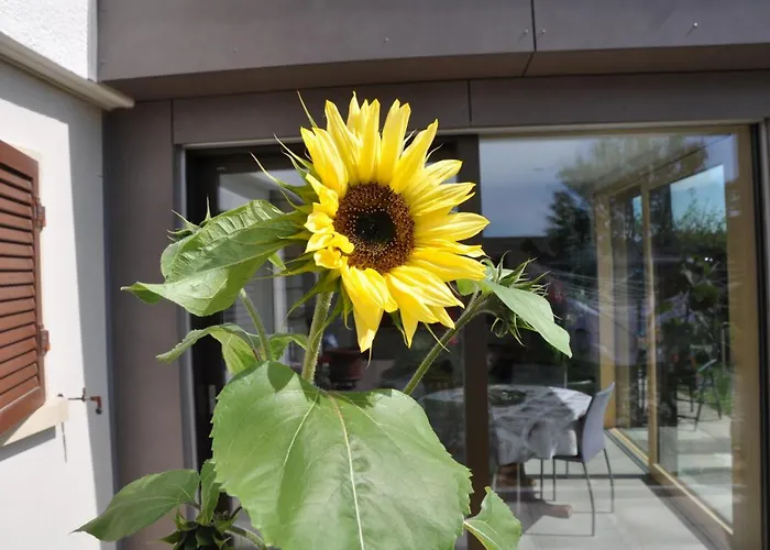 Appartement La Ruche