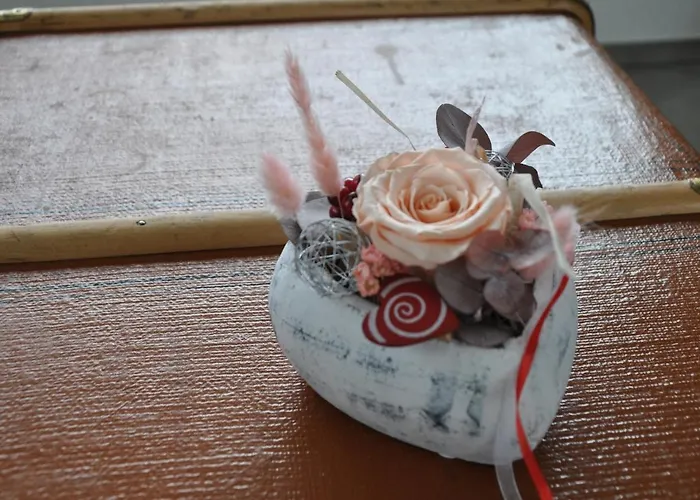 La Ruche Lejlighed *